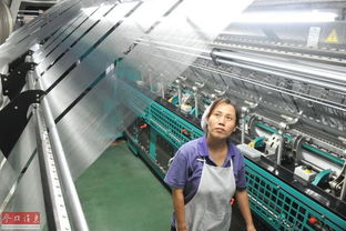 全球工業減速潮涌 脆弱企業生存困境與產業轉型之路